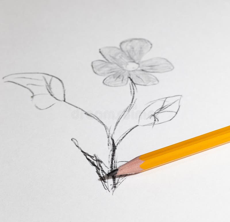 Share more than 155 flower pencil drawing easy