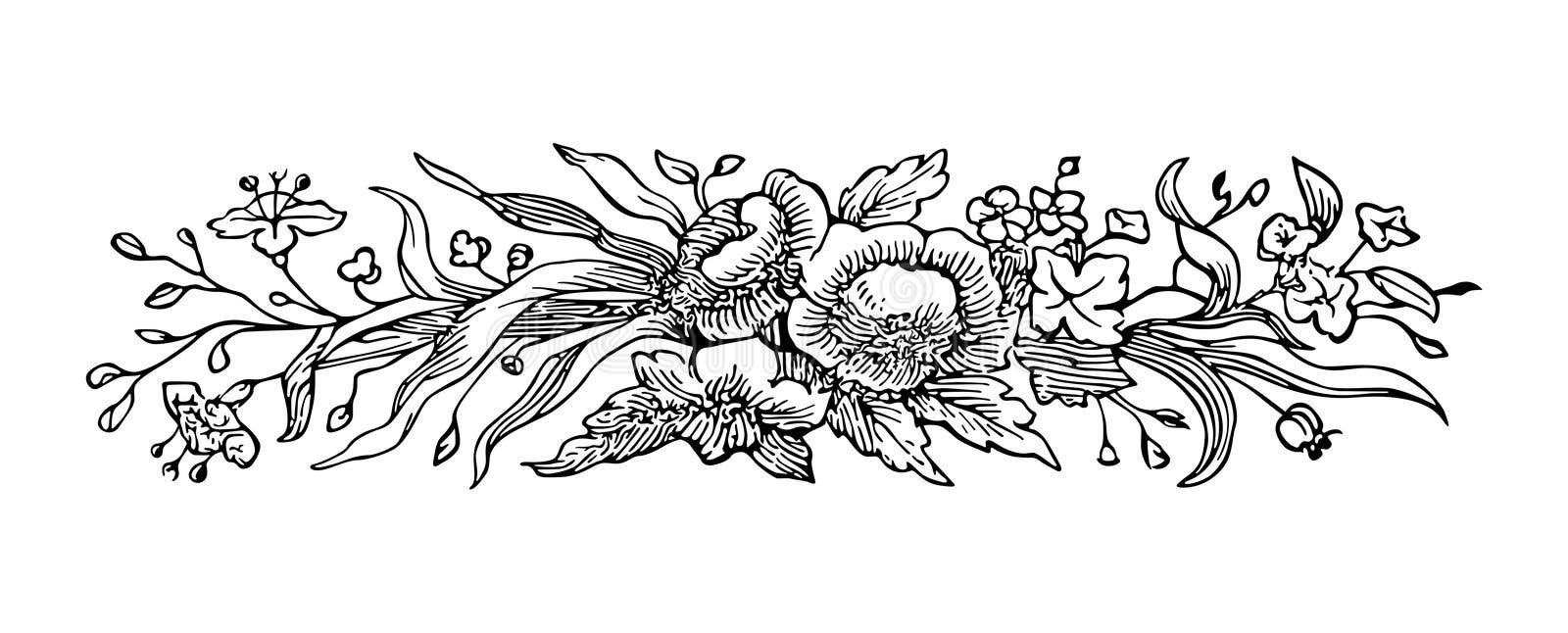 Lily Flower Branch Engraving Stock Vector Illustration of black