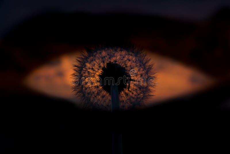 Eye Sauron Stock Photos - Free & Royalty-Free Stock Photos from Dreamstime Eye Sauron Stock Photos - Free & Royalty-Free Stock Photos from Dreamstime