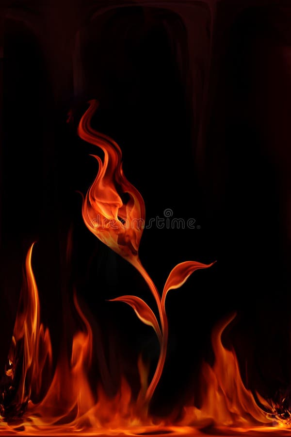 Fire flower stock vector. Illustration of bonfire, hell 26199203