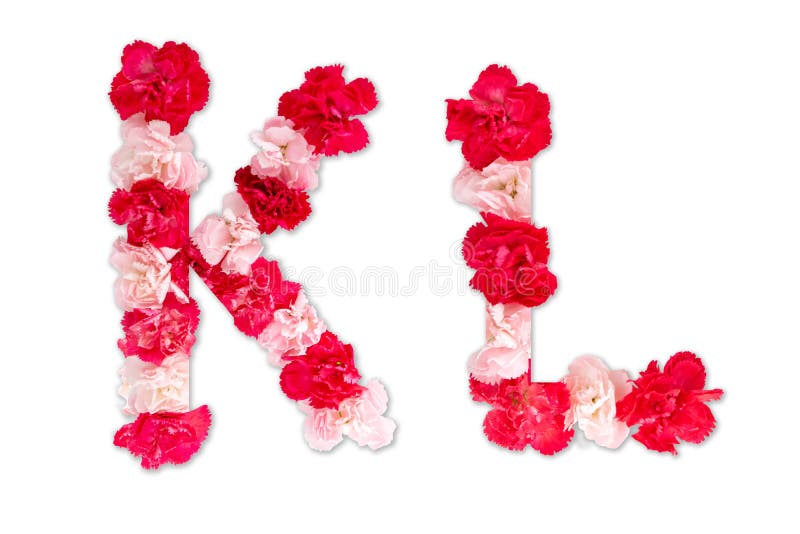 Flower Font Alphabet K L Set Collection a-Z, Made from Real Carnation  Flowers Pink, Red with Paper Cut Shape of Capital Letter Stock Image -  Image of collection, decoration: 187859023