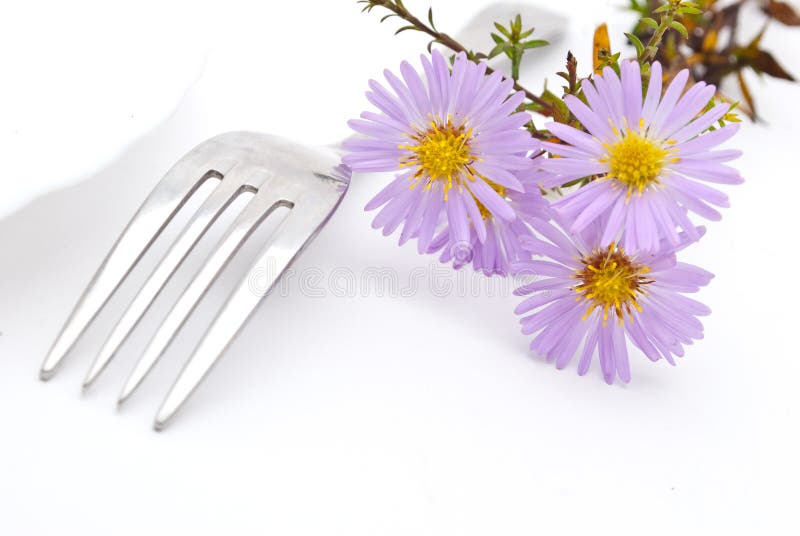 Flower and fork stock image. Image of food, floral, nature 16728997