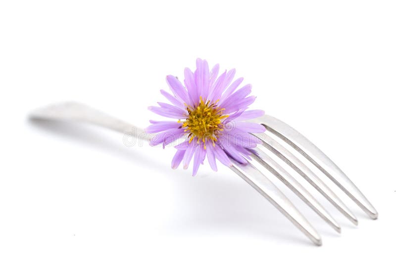 Flower and fork stock image. Image of food, floral, nature 16728997