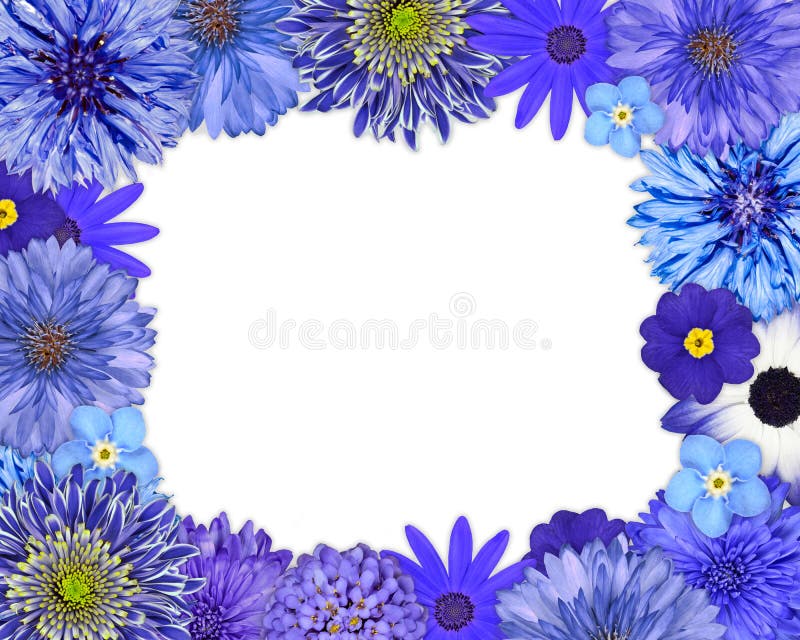 Flower Frame with Blue, Purple Flowers on White