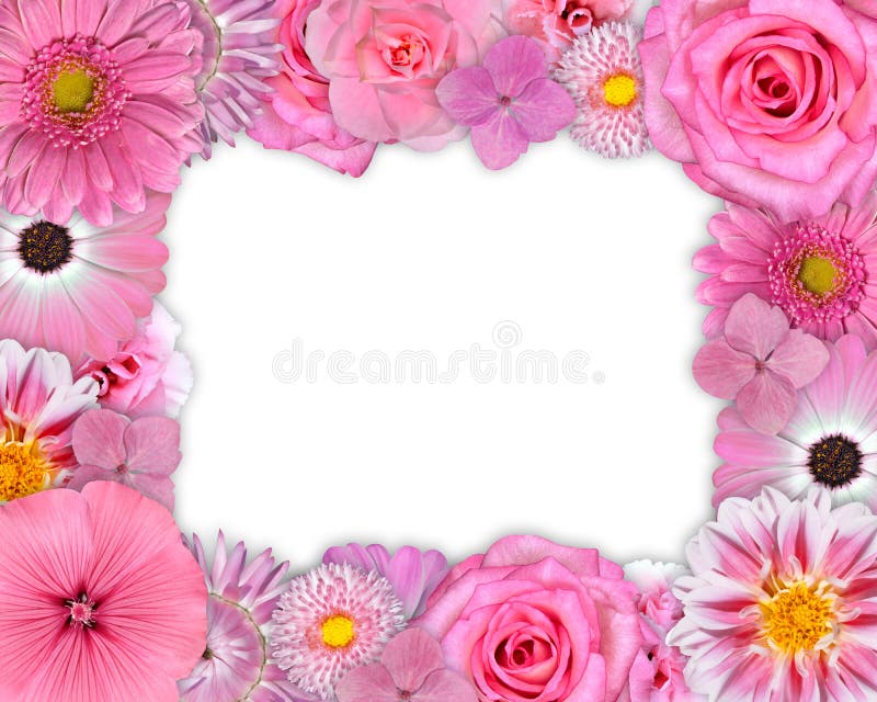 Flower Frame Pink, Purple Flowers on White