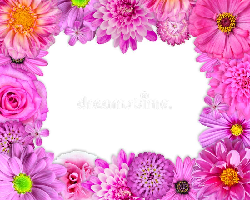 Flower Frame Pink, Purple, Red Flowers on White