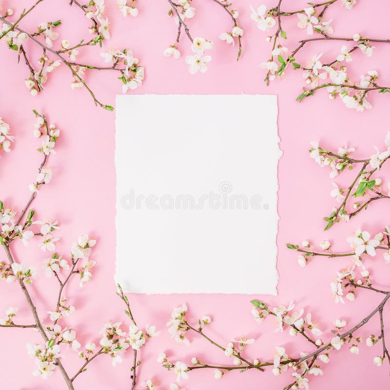 Flower frame with white flowers and paper vintage card on pink background. Flat lay, top view. royalty free stock photos Flower frame with white flowers and paper vintage card on pink background. Flat lay, top view. royalty free stock photos