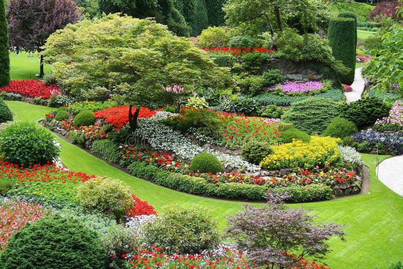 Flower garden