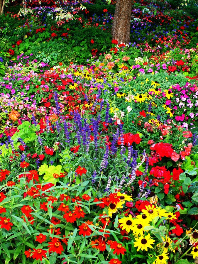 Flower Garden