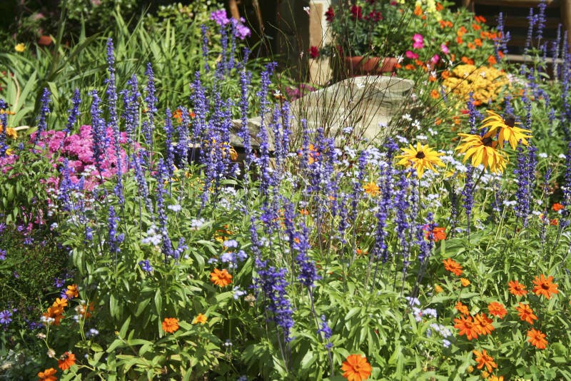 Flower Garden stock photography