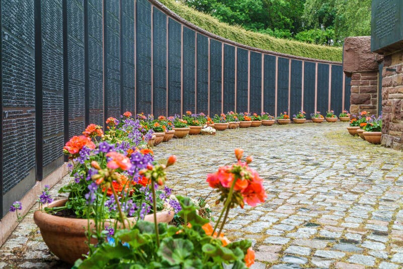 Flower, Garden, Plant, Yard Picture. Image 121556490