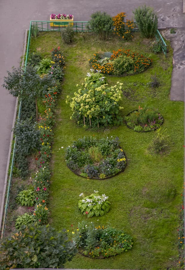 Flower garden, top view stock photo. Image of beautiful 125274980