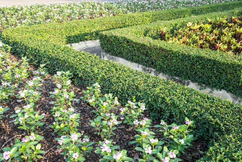 Flower garden tract stock photo. Image of detail, tract 28856192