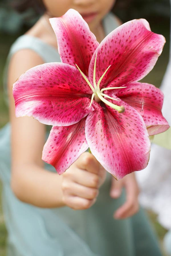 Flower Girl Showing Bouquet Stock Photo Image of girl, closeup 6228216