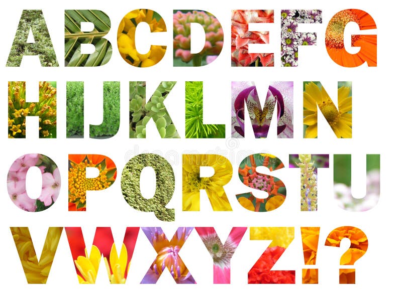 Flower grass alphabet vector illustration