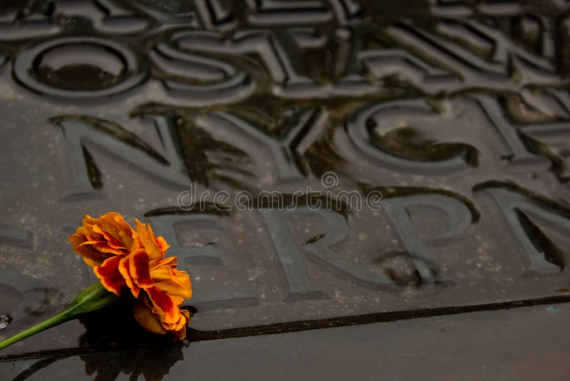 Flower on the grave stock image. Image of roses, grieve 34751773
