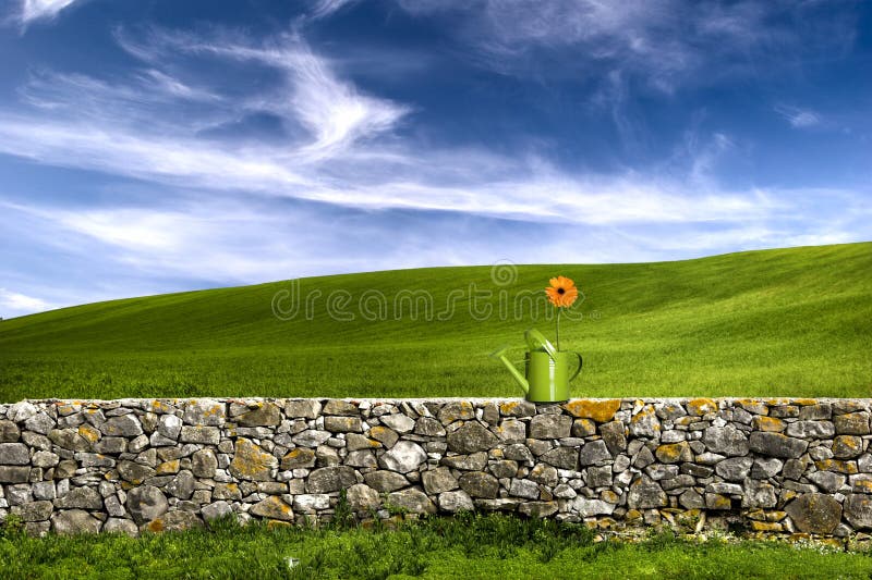 972,239 Green Land Stock Photos - Free & Royalty-Free Stock Photos from  Dreamstime