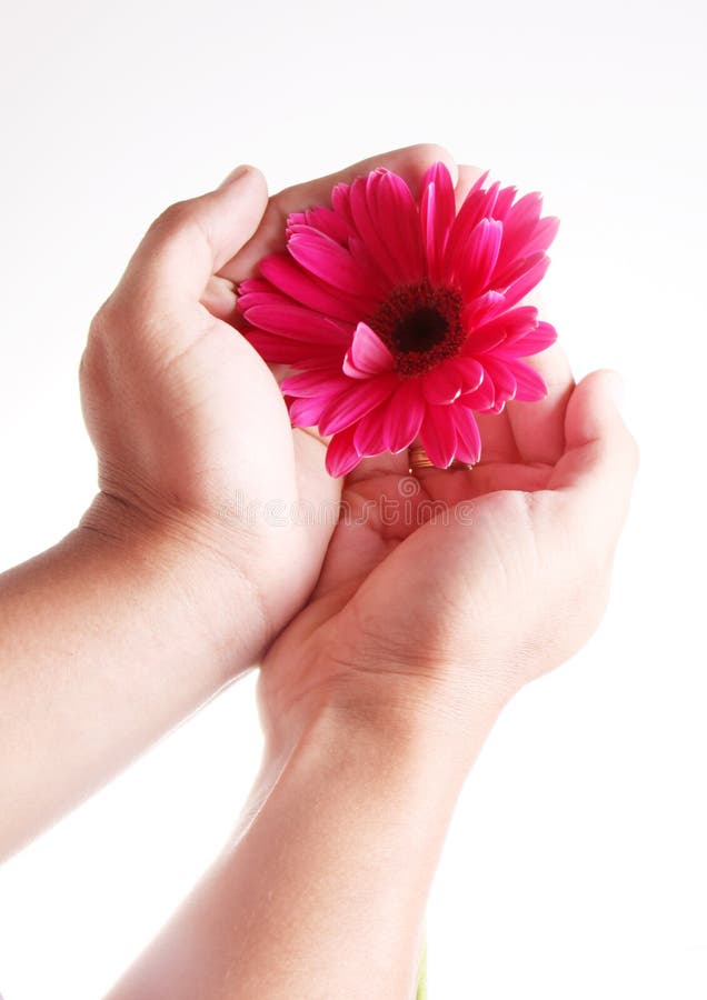 Flower on hand stock photo. Image of care, circle, design 13854352