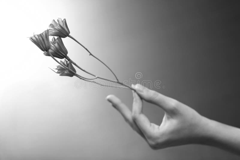 A flower is in a hand