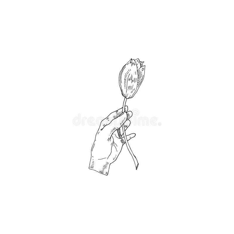 Flower in Hand Sketch Vector Illustration Stock Illustration