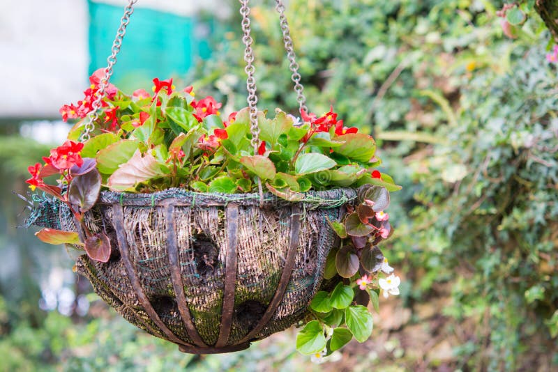 Flower hanging basket