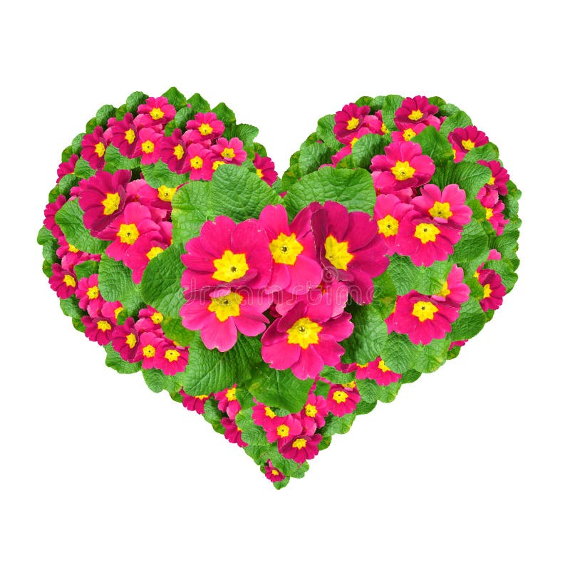 Flower heart