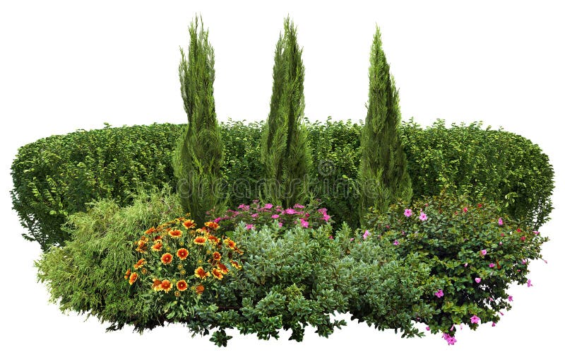 Cut Out Green Hedge. Garden Design Stock Image - Image of clipping, floral:  160382749