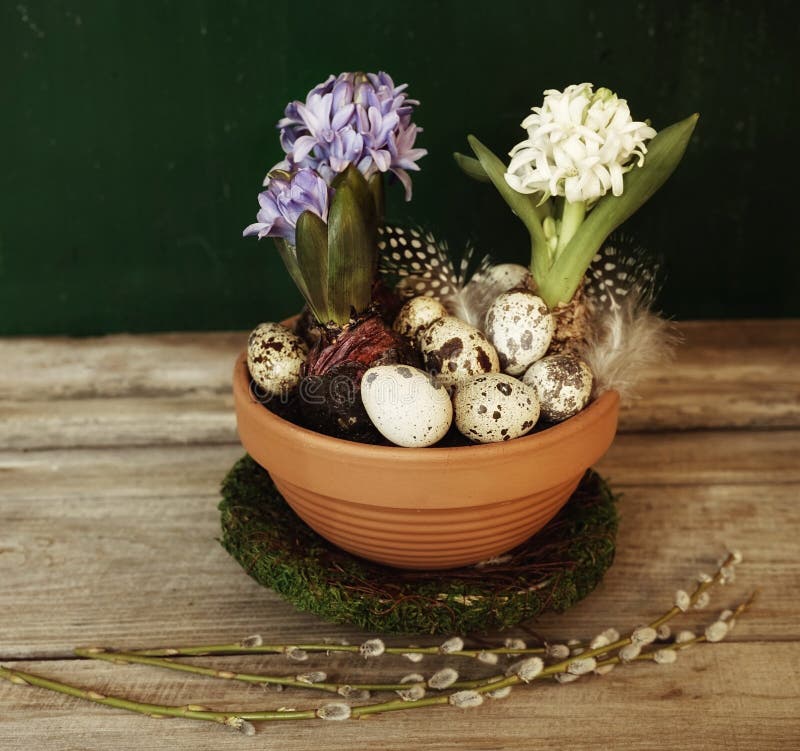 Hyacinth Egg Branch Wood Table Closeup Easter Spring Stock Image