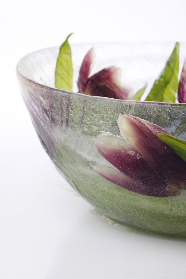 Flower Ice Bowl stock image. Image of bloom, bowl, flora 4174329