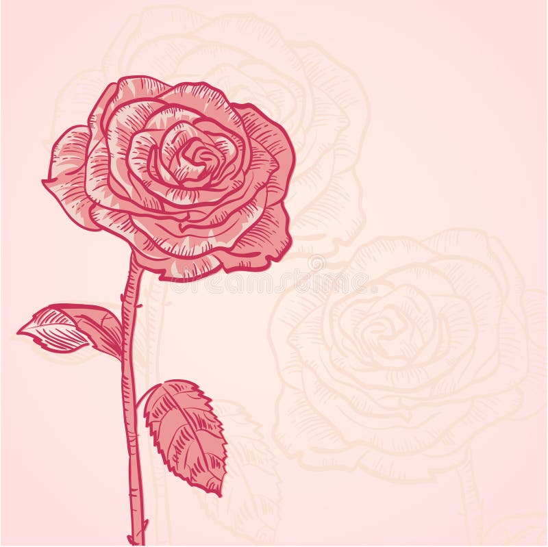 Flower invitation floral vintage card stock illustration Flower invitation floral vintage card stock illustration