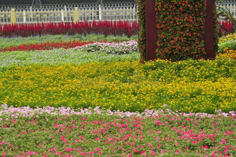 Flower Land Picture. Image 6061077