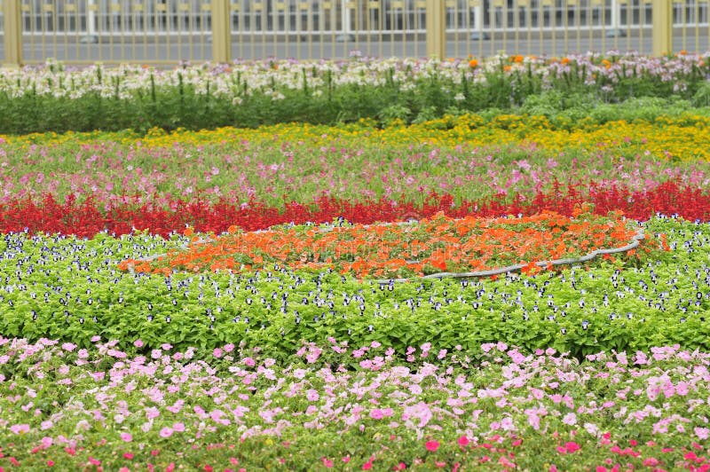 Land Picture. Image 6843255