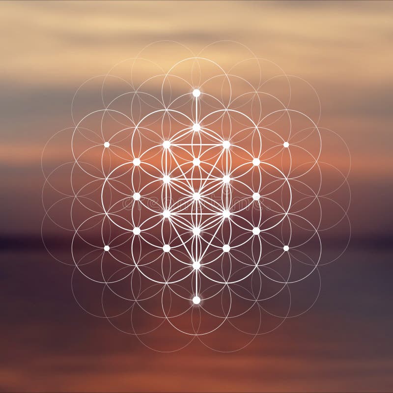 Flower of life sacred geometry illustration with intelocking circles and light dots in front of photographic background. Hipster