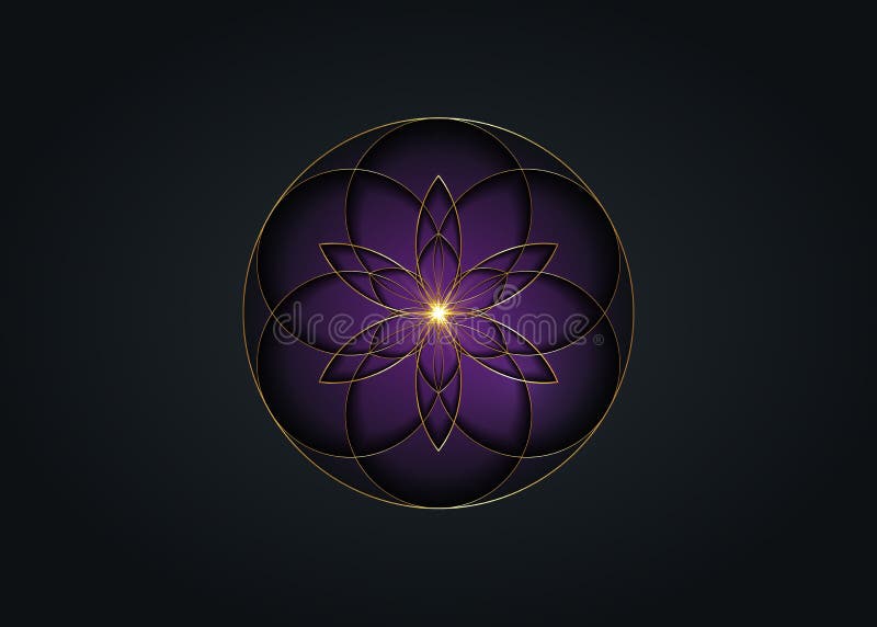 Flower of Life symbol Sacred Geometry. Gold luxury Logo icon round geometric mystic dark purple mandala of alchemy esoteric Seed