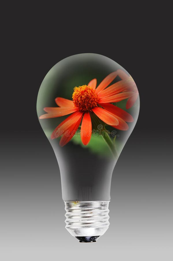 Flower and light bulb