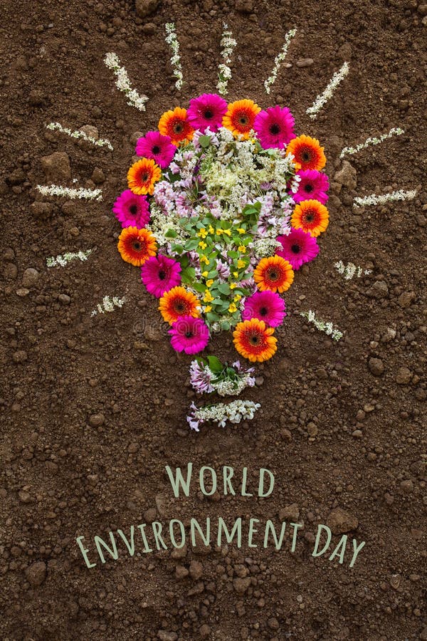 Flower Light Bulb Symbol. World Environment Day Stock Image Image of