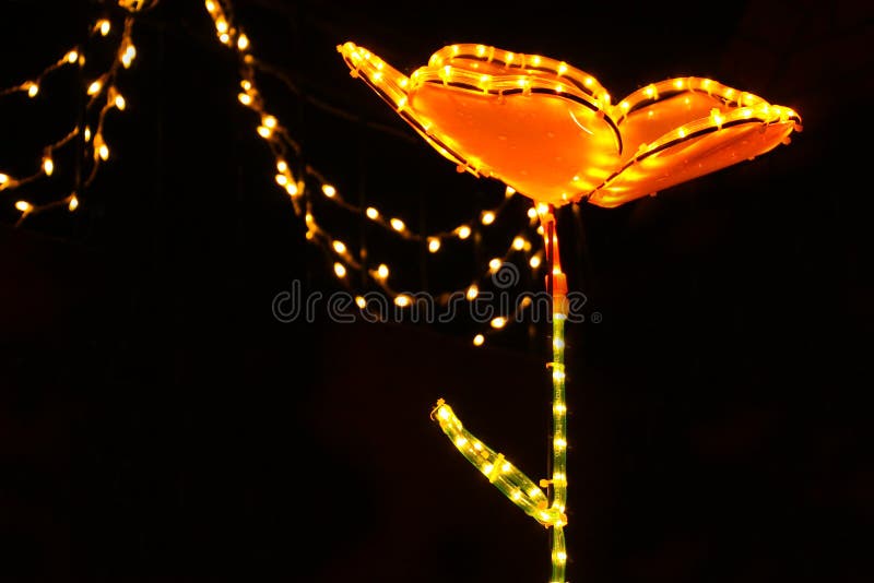 Flower of light at night stock image. Image of lightness 12899423