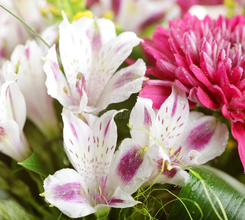 Flower bouquet stock image. Image of background, wedding 24862045