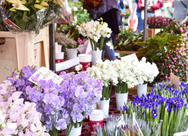 Flower market stock image. Image of freshness, color 69287617