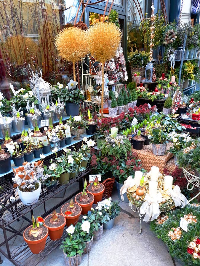 Flower market in Vienna editorial stock photo. Image of sunny 107074273
