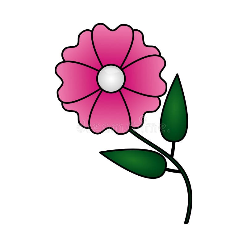 Flower natural decoration stock vector. Illustration of anniversary