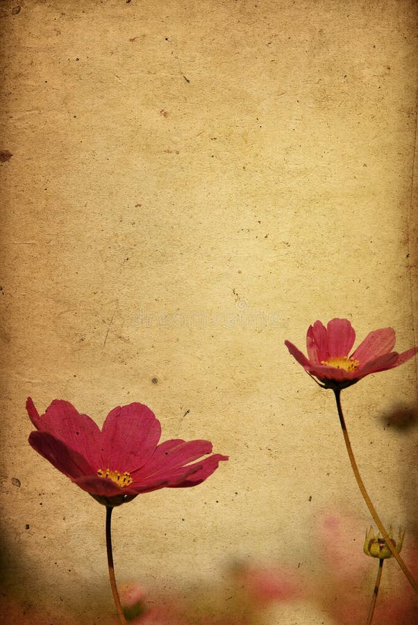 Flower paper stock photography