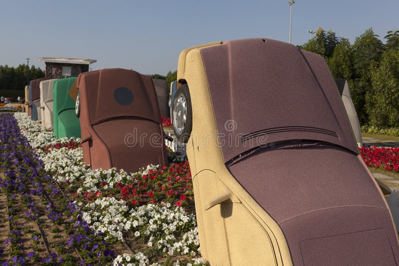 Flower Park in Dubai (Dubai Miracle Garden). United Arab Emirates. The world's largest flower park - Dubai Miracle Garden - was opened in Dubai February 14 stock photo Flower Park in Dubai (Dubai Miracle Garden). United Arab Emirates. The world's largest flower park - Dubai Miracle Garden - was opened in Dubai February 14 stock photo