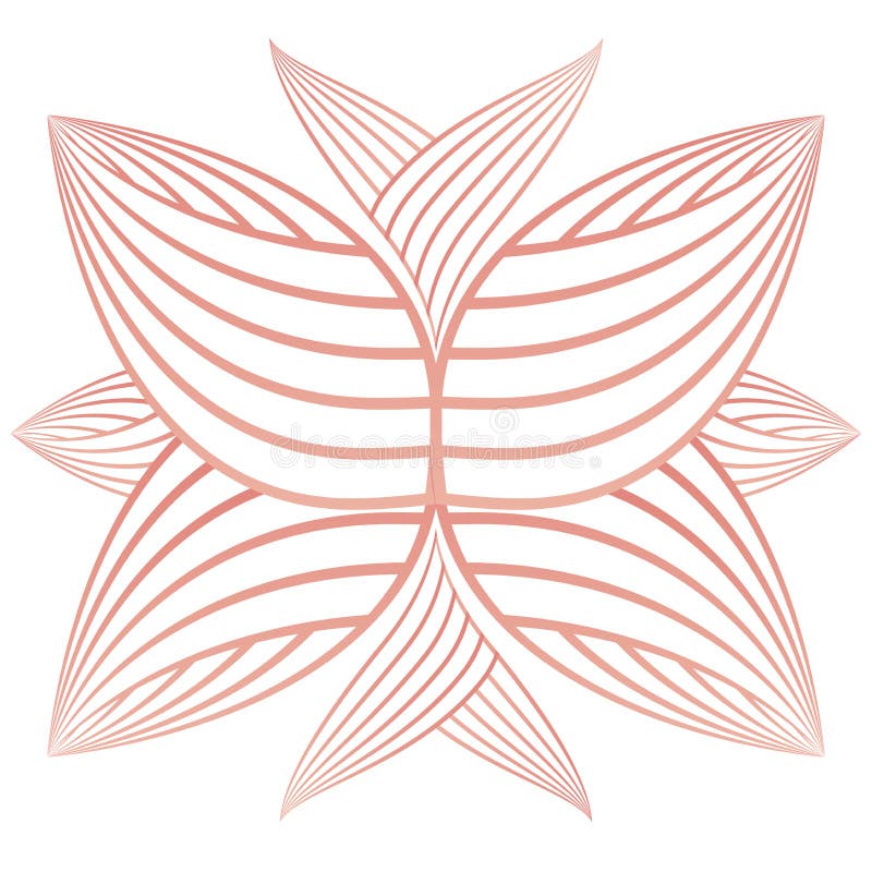 Beautiful Flower Petals, Flower Line Design Stock Vector Illustration