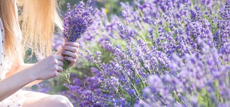 Flower Picker stock photo. Image of delight, allegiance - 355852