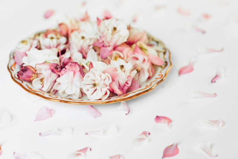 Flower plates composition stock photos Flower plates composition stock photos