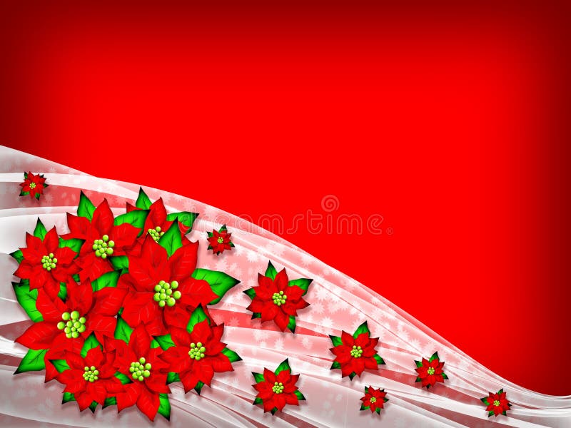 Flower Poinsettia Christmas Background