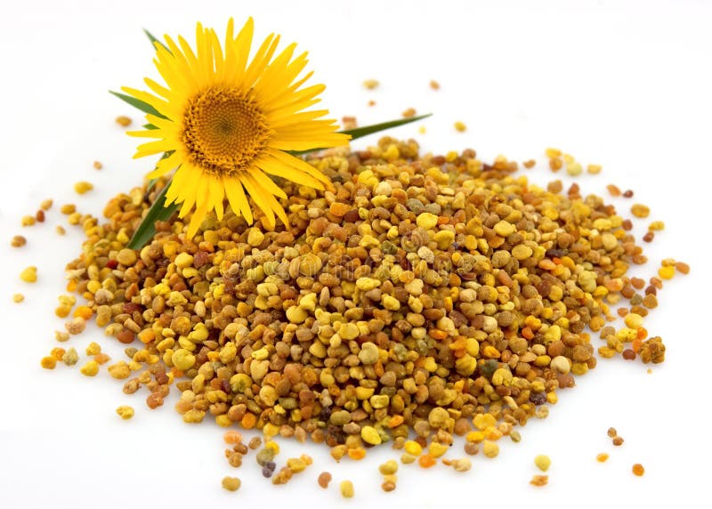 Flower pollen stock photo. Image of honey, dessert, orange 20160380