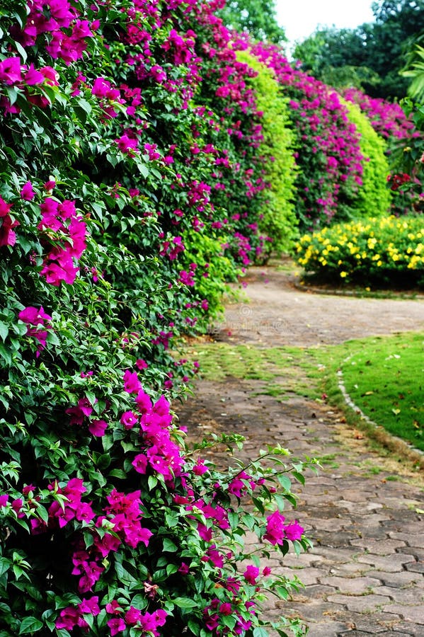 Flower Porch stock photo. Image of green, asian, backyard 7039208