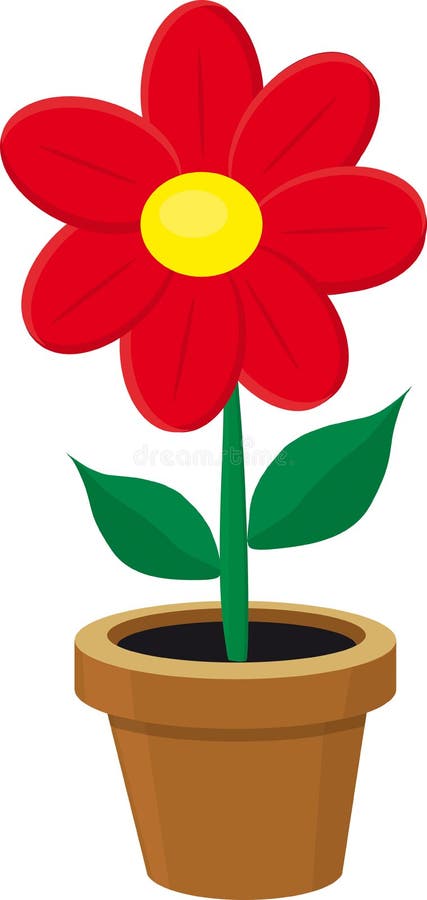 Flower in the pot